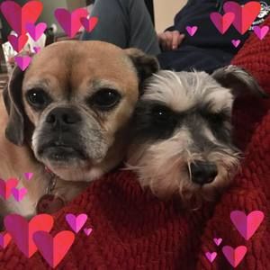 Meet your Posher, Kathleen